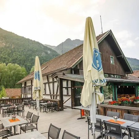 Mountain On Gut Buchwies 度假居